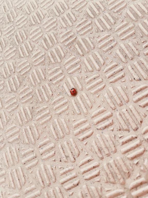 どうか、命を守る選択を。