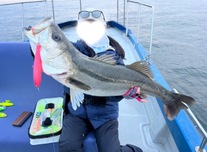 ビッグベイト行きそびれた🐟