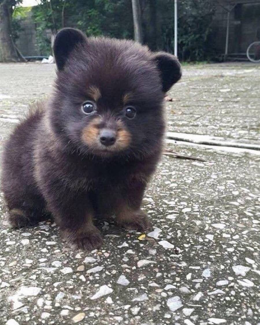 おはよう ( * ・ω・) ノ