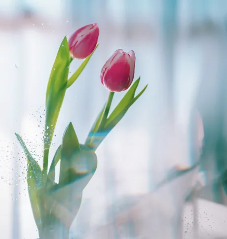 出勤予定❣️/小倉　百合