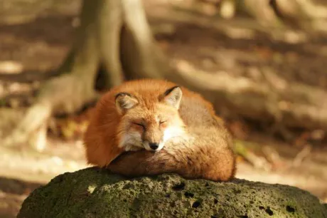 まさみ　奥様SUTEKIな奥様は好きですか？