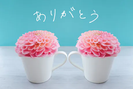 🍀 お礼日記 🍀/のあ[業界初/青森]