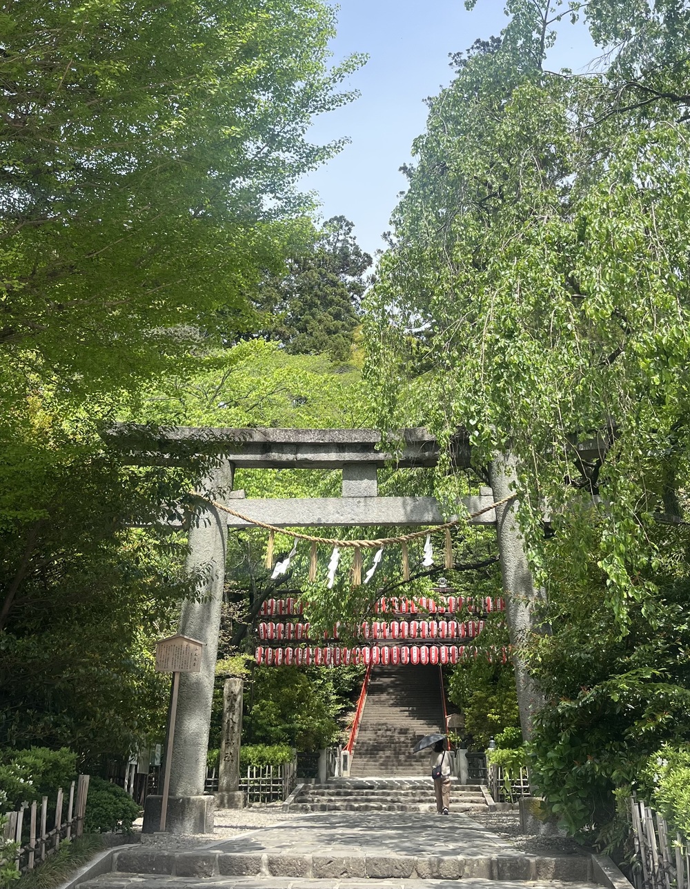 朝のおさんぽ 