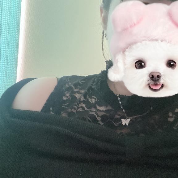 っ ̫ ‹ ᐝ