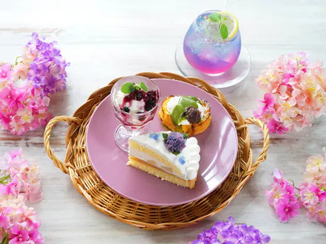 おはようございます/そら