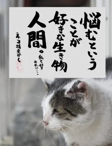 おはようございます♡/シオン