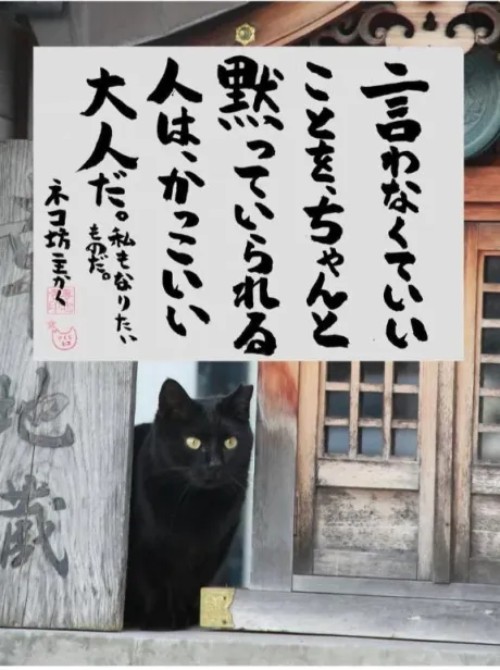 シオン人妻生レンタルーNTRー