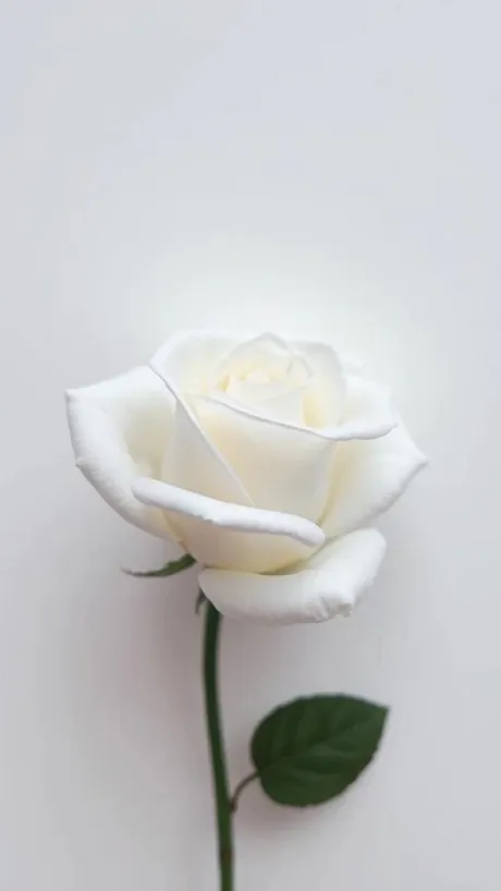 凛花(りんか)のブログ お礼♡