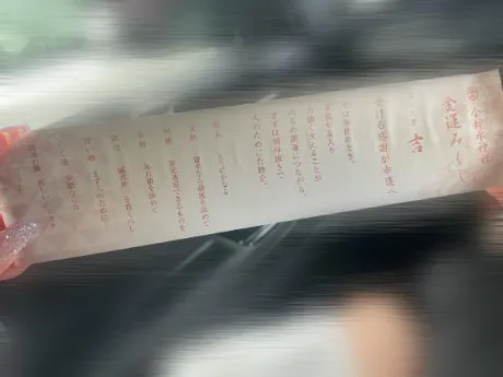 めろのブログ 正月気分