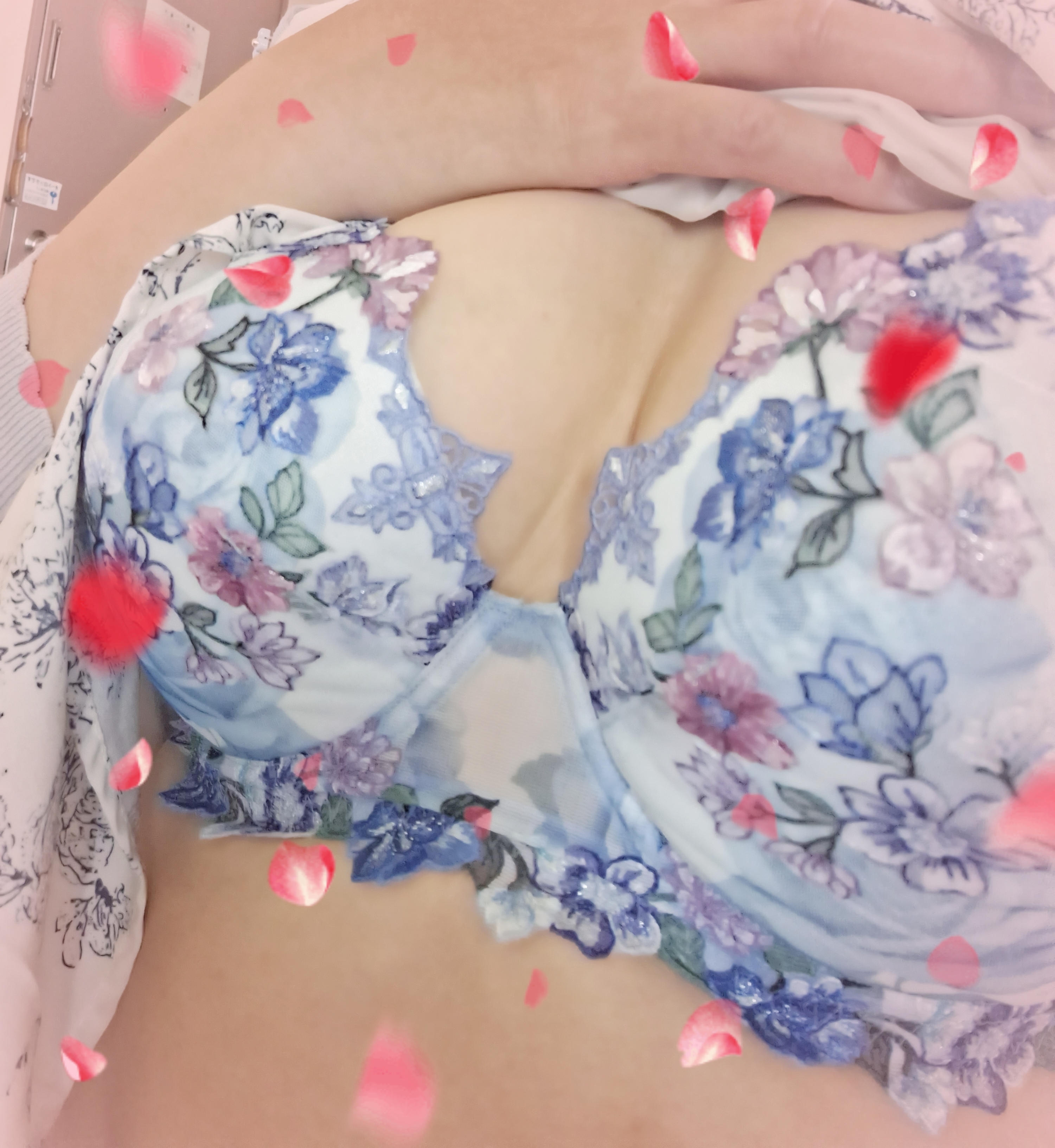 お題：お正月の予定を教えて下さい！