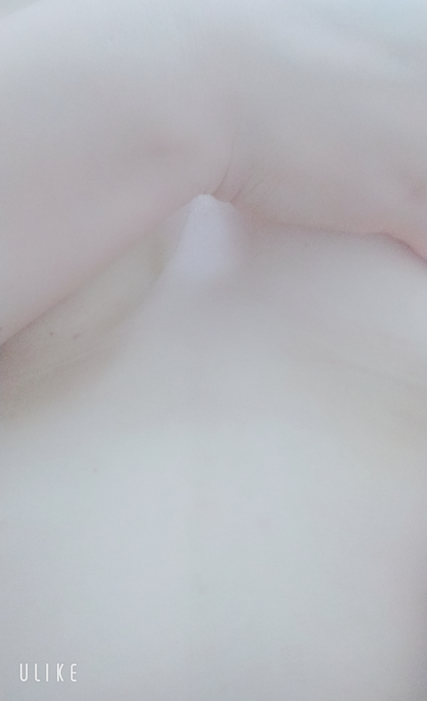 ぷ～にぷに