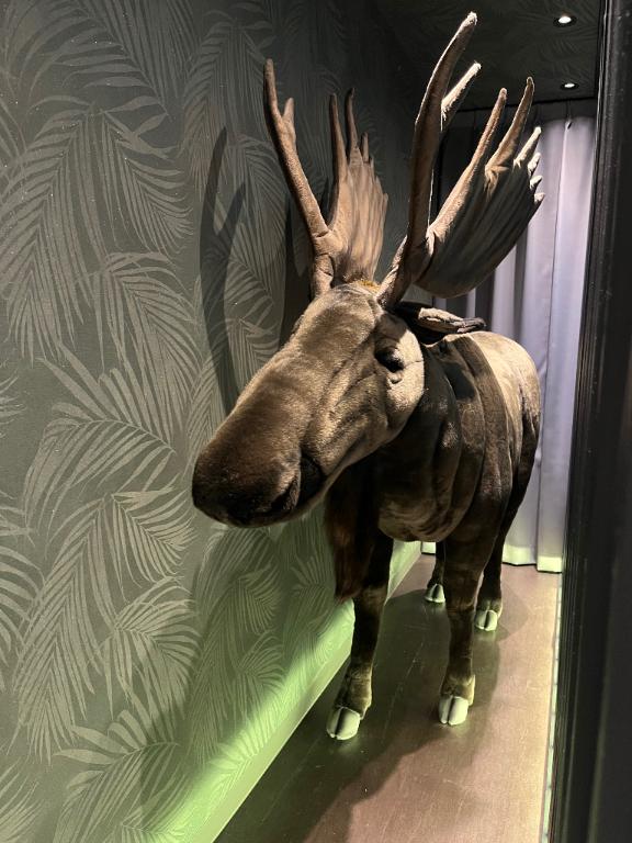 幸せな気持ち😊🌟