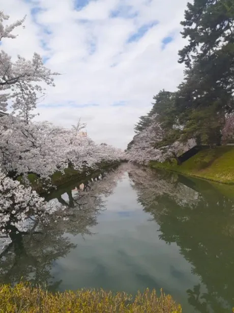 れい☆弘前のブログ 3/25(水)18:37頃～ご一緒くださりましたお兄様💌