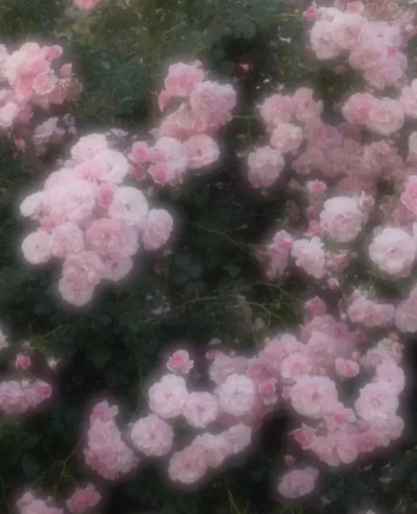 ご予約ありがとうございます♡