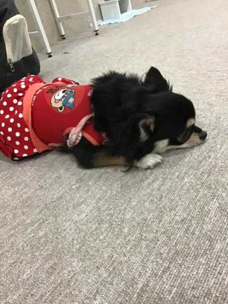遅くなりましたが