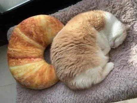 おはよう ( * ・ω・) ノ/なお