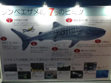 出勤【続報】/なつめ　爆乳調教師Ｊの圧力！