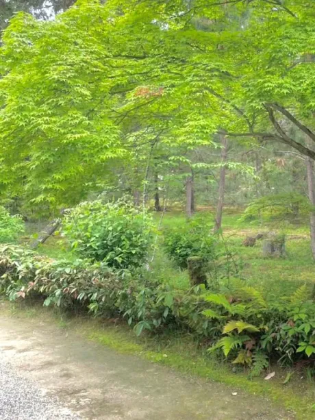 栞花(かんな)のブログ あのねのね🪿