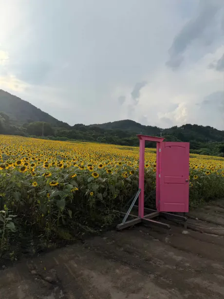 9 月 12 日、13 日の御礼 💌/はつね
