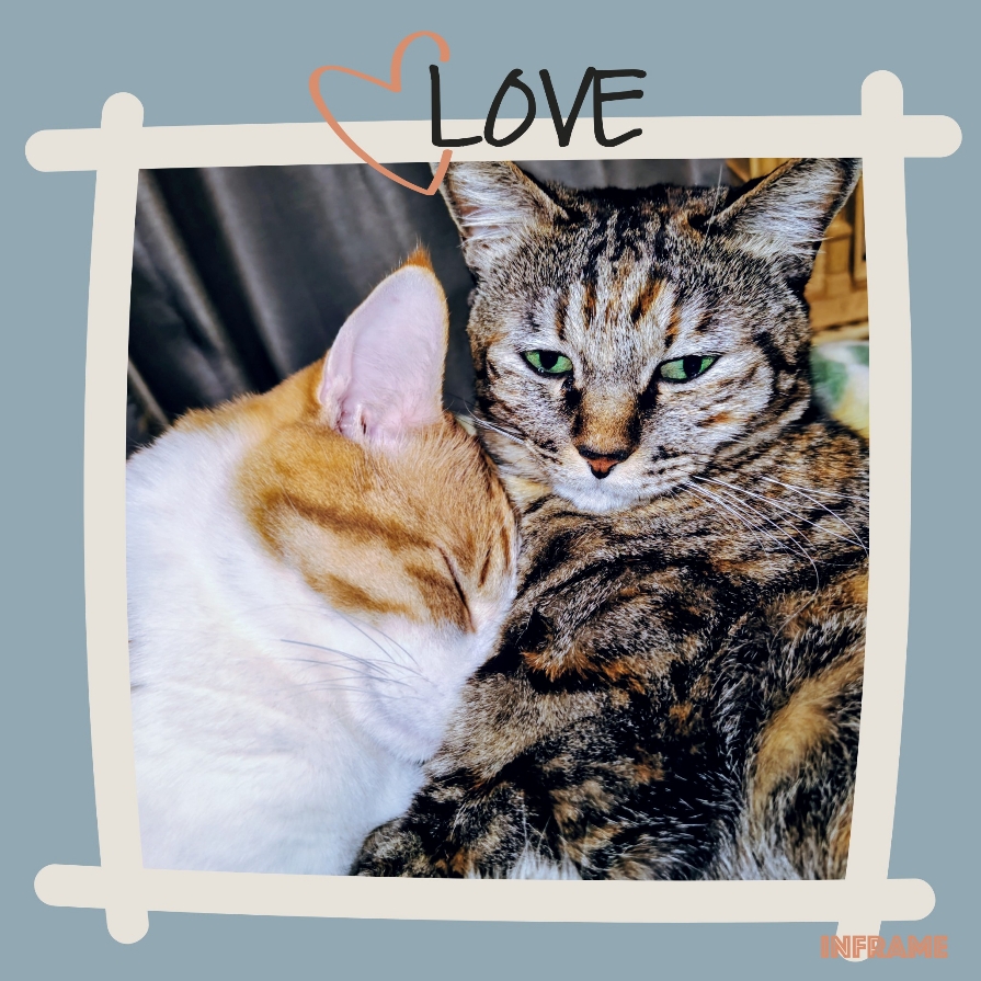 今日は14時～19時まで😃