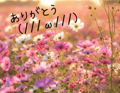 ありがとうございました/ゆきえ