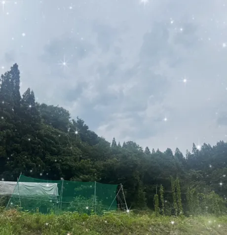 ももこです(^з^)16日ありがとうございました/ももこ
