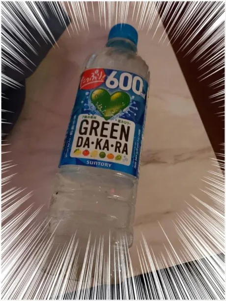 レミのブログ お礼です