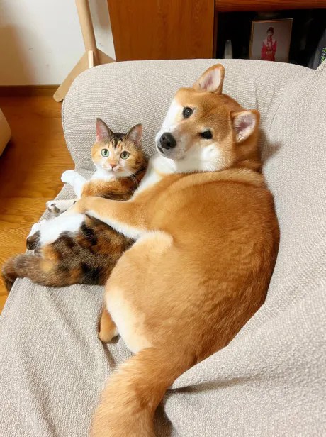 おはよう (*^^*)/なお