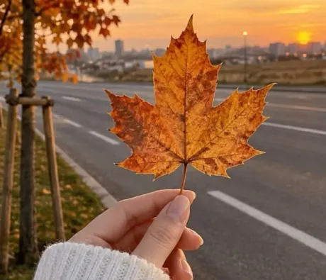 今日のおやつ/ゆりか