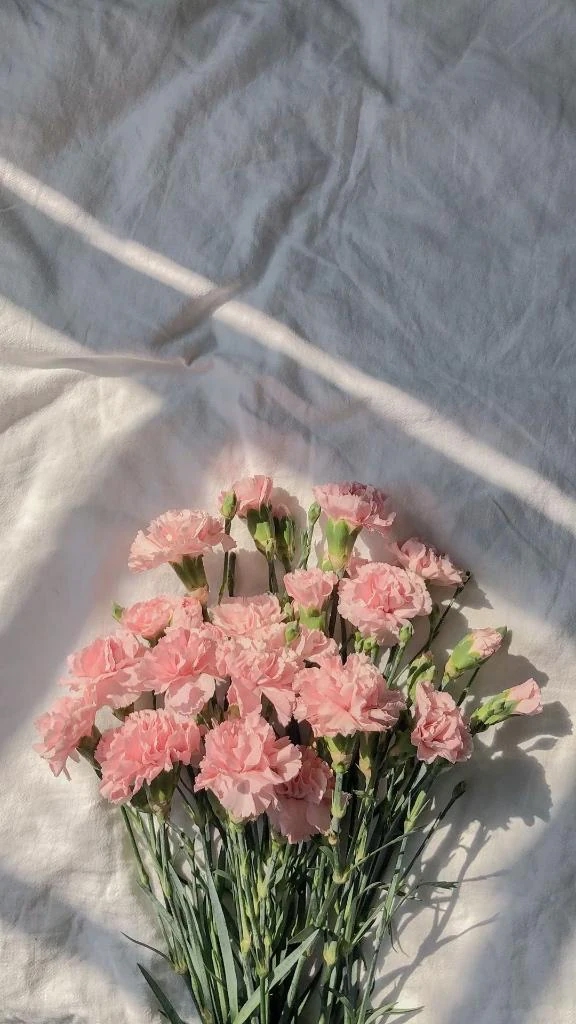 乃々花(ののか)グランドオペラ福岡