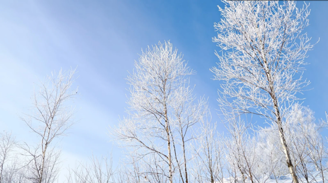 おはようございます