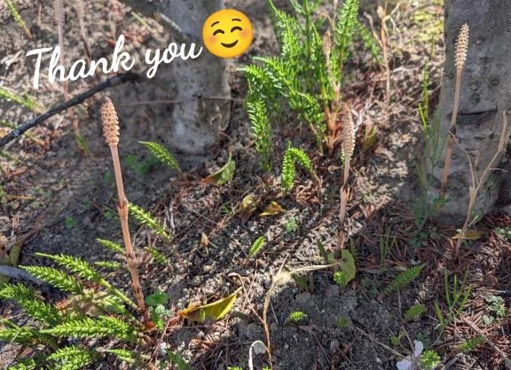 有難うございました💐/紗羅[さら]