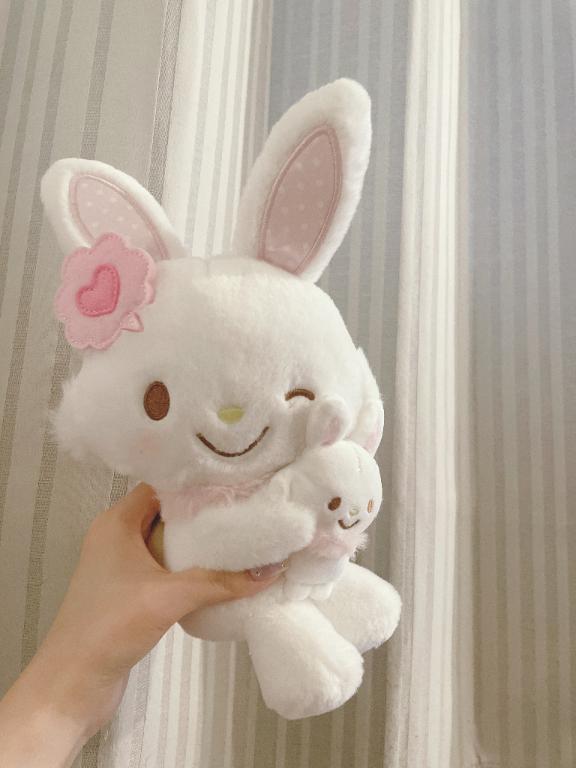 宝物🐰/せいら