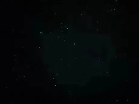 みんなの休日は？/あんな