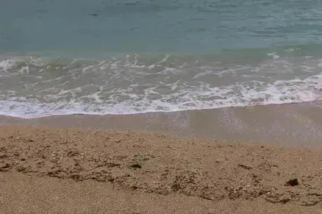 [お題]from:リンゴさん/あんな