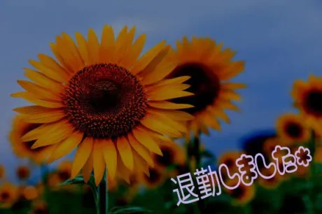 まりな【最高な美熟女】おばさんの店
