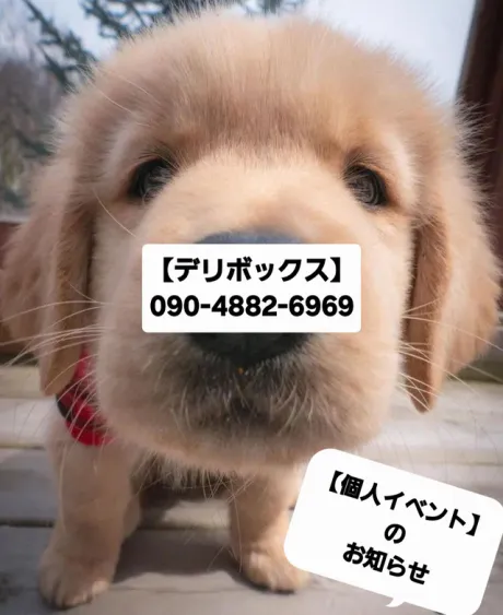 めい (魅惑のEカップ、パイパン嬢)デリボックス