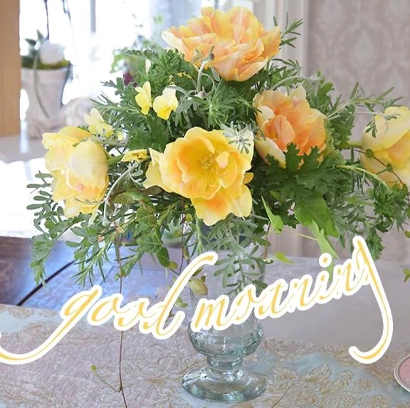 気温差と花粉……⚠️