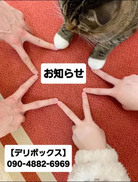 めい (魅惑のEカップ、パイパン嬢)デリボックス