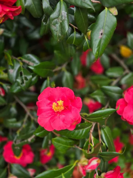 紳士な背が高いお客さま💞💌/ラン