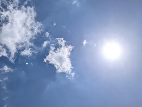出勤しました