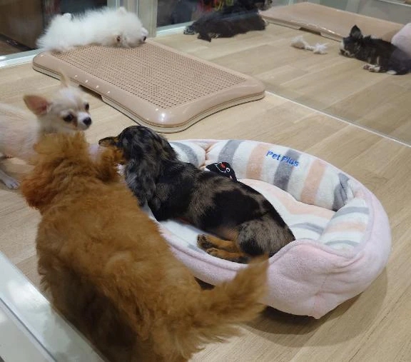 今日は少しだけ‥(〃ω〃)❤