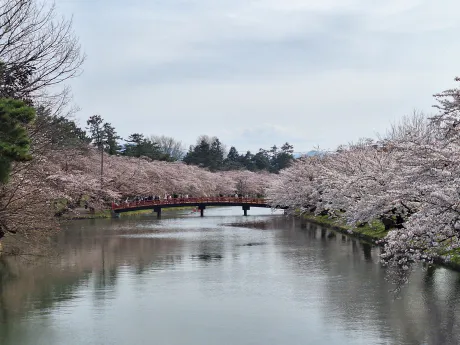 ゆうき(青弘)のブログ こんにちは！