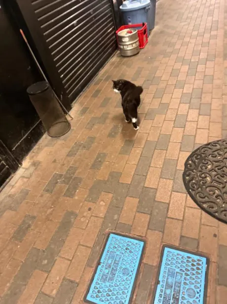 お礼💌