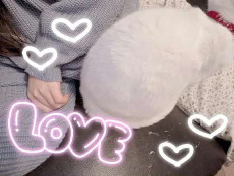 そらのおばさんの店