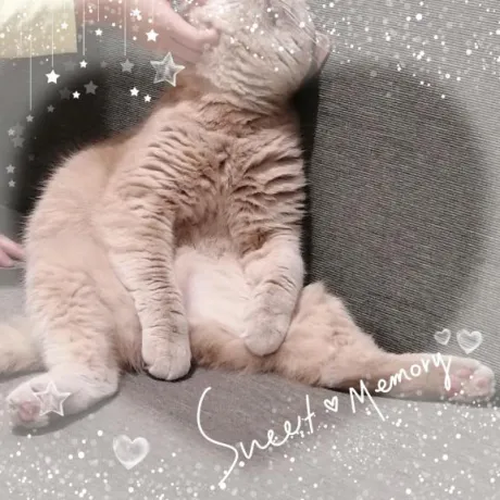 まさみ　奥様SUTEKIな奥様は好きですか？