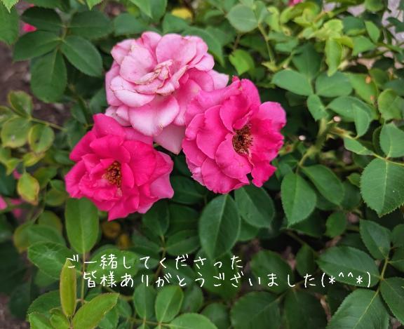 身も心も…🌷*