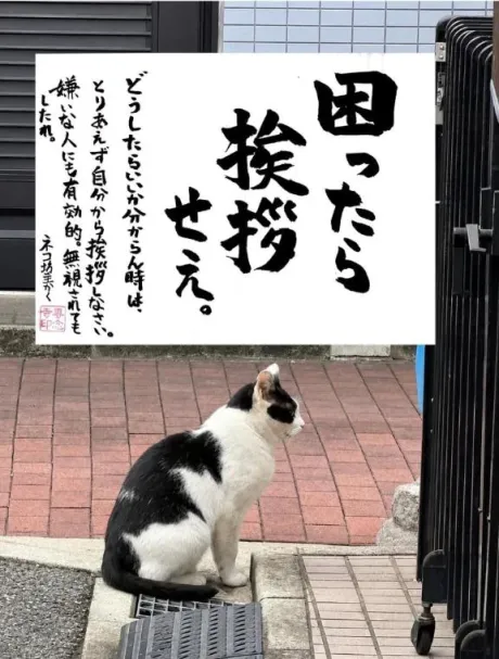 シオン人妻生レンタルーNTRー