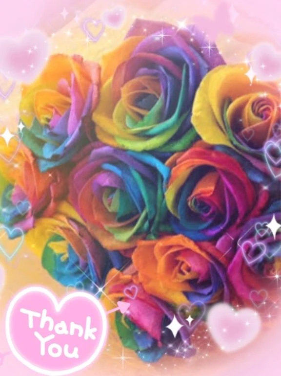 美優マダム DOLCE