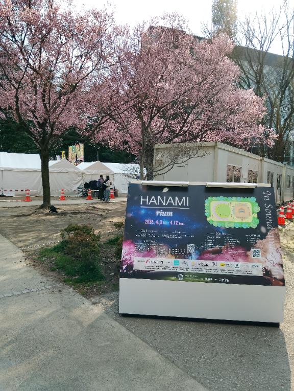 あんな　奥様SUTEKIな奥様は好きですか？